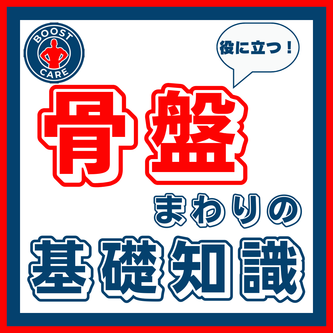 知っておくと腰痛予防に！骨盤まわりの基礎知識3選！